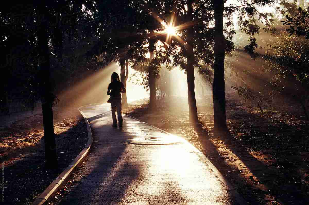A woman walking on a forest path at sunrise, symbolizing courage to heal, personal transformation, and trauma-informed coaching support.